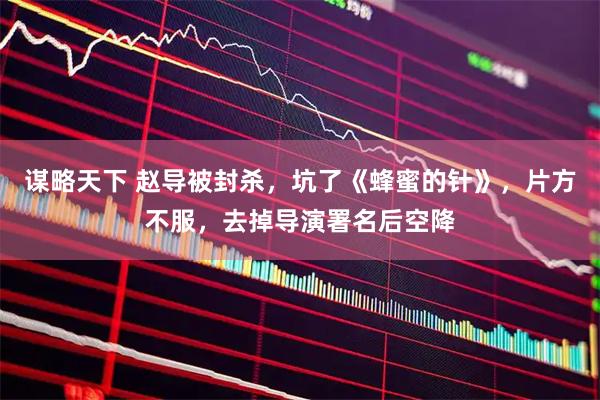 谋略天下 赵导被封杀，坑了《蜂蜜的针》，片方不服，去掉导演署名后空降